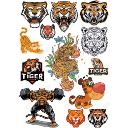 Tiger Collection: Fierce & Playful
