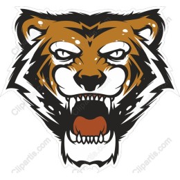 Fierce Tiger Head