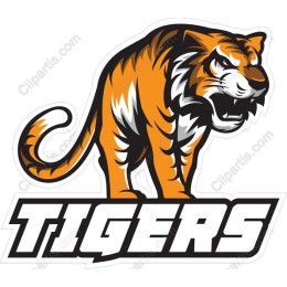 Fierce Tiger