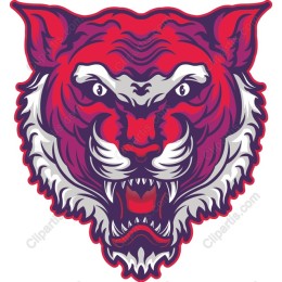 Fierce Tiger Head