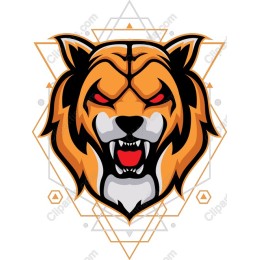 Fierce Tiger Head