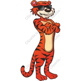 Cool Tiger Character