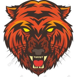 Fierce Tiger Head