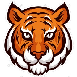 Vibrant Tiger Head