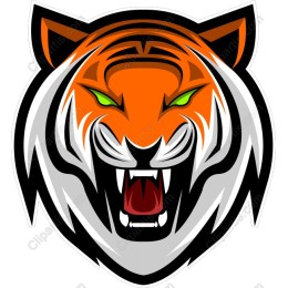 Fierce Tiger Head