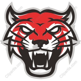 Angry Tiger Head
