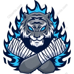 Fierce Tiger Flame