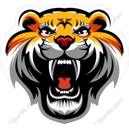 Fierce Tiger Head