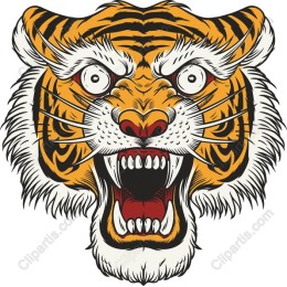 Roaring Tiger Head