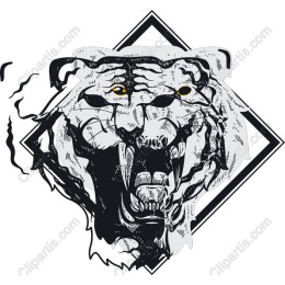 Fierce Tiger Head