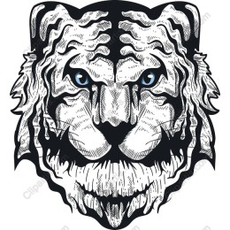 Majestic White Tiger Head
