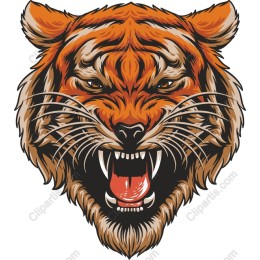 Majestic Tiger Head