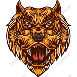 Fierce Tiger Head