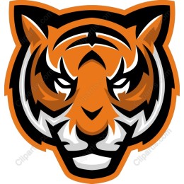 Fierce Tiger Head
