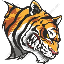 Fierce Tiger Head