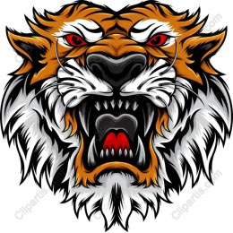 Fierce Tiger Head