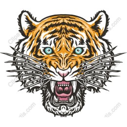 Fierce Tiger Head