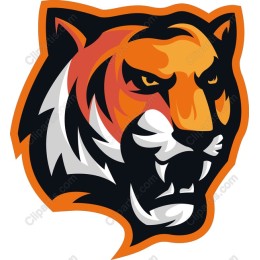 Fierce Tiger Head