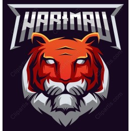 Fierce Tiger