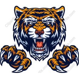 Fierce Tiger Head