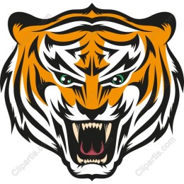 Fierce Roaring Tiger Head
