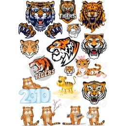 Tiger Set - Fierce & Fun