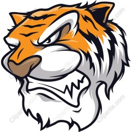 Fierce Tiger Head