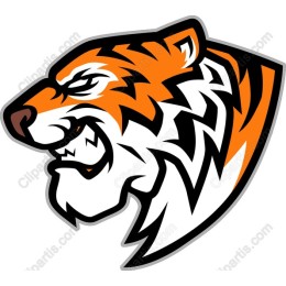 Fierce Tiger Head