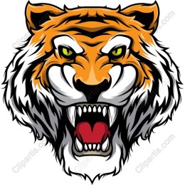 Fierce Tiger Head