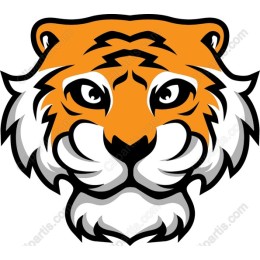 Fierce Tiger Head