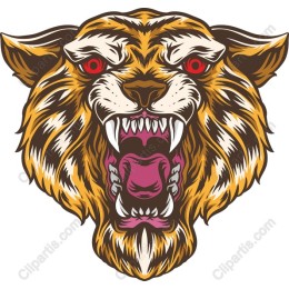 Fierce Tiger Head