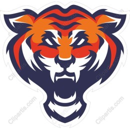 Fierce Tiger