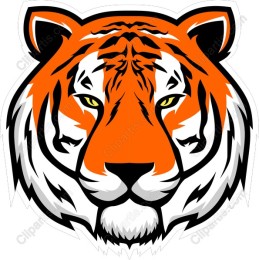 Fierce Tiger