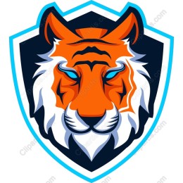 Fierce Tiger Head