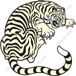 Majestic White Tiger