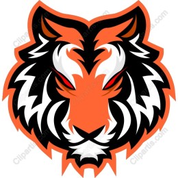 Vibrant Tiger Head Drawing