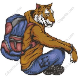 Tiger Adventure