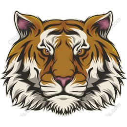 Tiger Head
