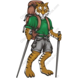 Charming Tiger Hiker