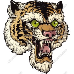 Fierce Tiger Head