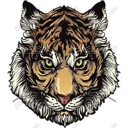 Fierce Tiger Head
