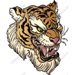 Roaring Tiger Head