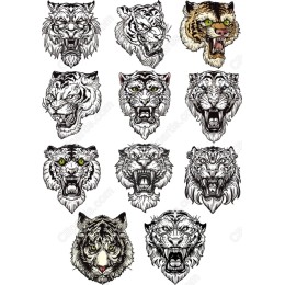 Majestic Tiger Head Bundle