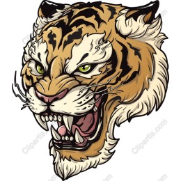 Fierce Tiger Head