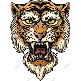 Fierce Tiger