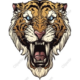 Roaring Tiger Head