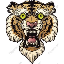 Fierce Tiger Head
