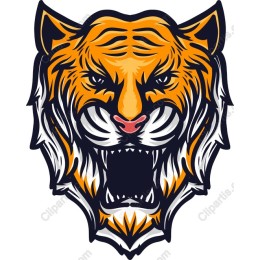 Fierce Roaring Tiger Head