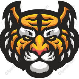 Vibrant Tiger Face