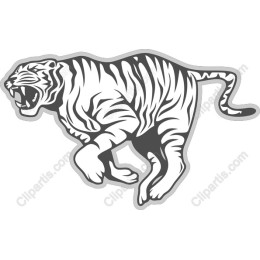 Dynamic Roaring Tiger